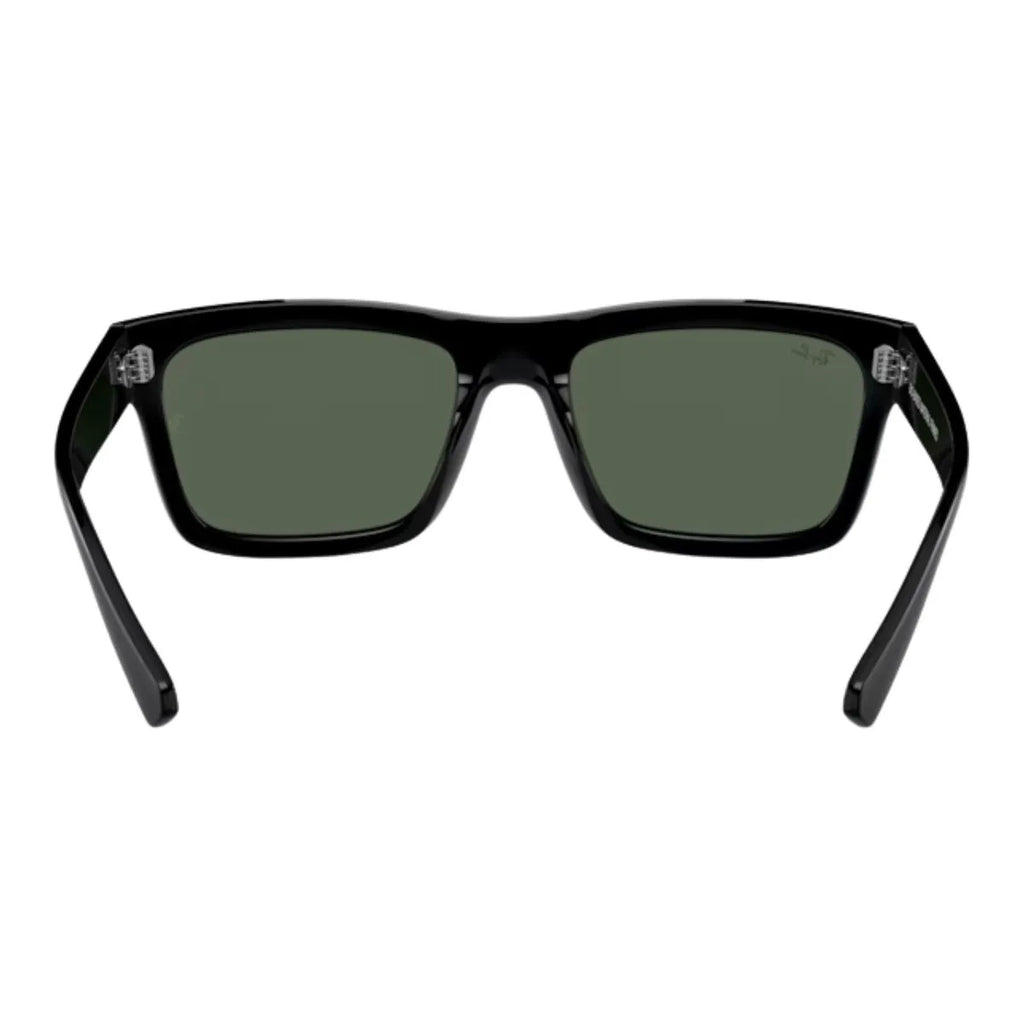 Rayban Warren Sunglass 4396 6677/71