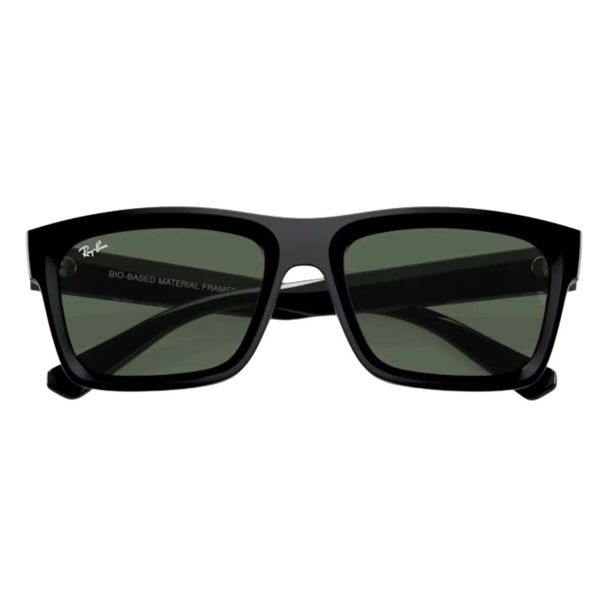 Rayban Warren Sunglass 4396 6677/71