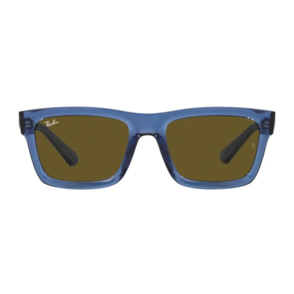 Rayban Warren 4396 Sunglass