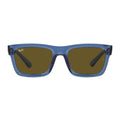 Rayban Warren 4396 Sunglass
