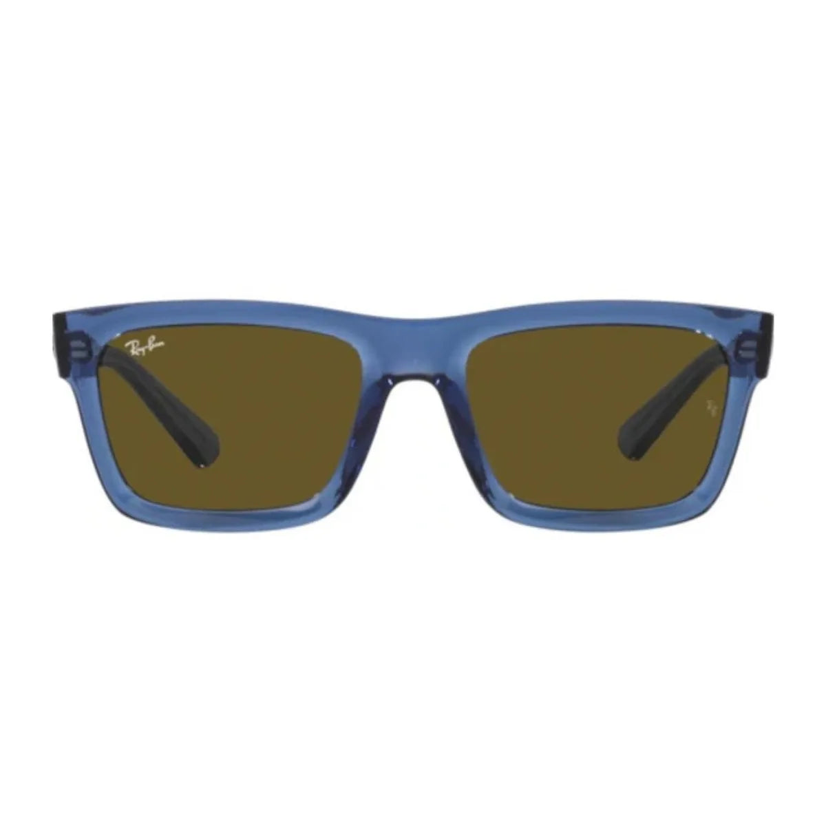 Rayban Warren 4396 Sunglass
