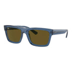 Rayban Warren 4396 Sunglass