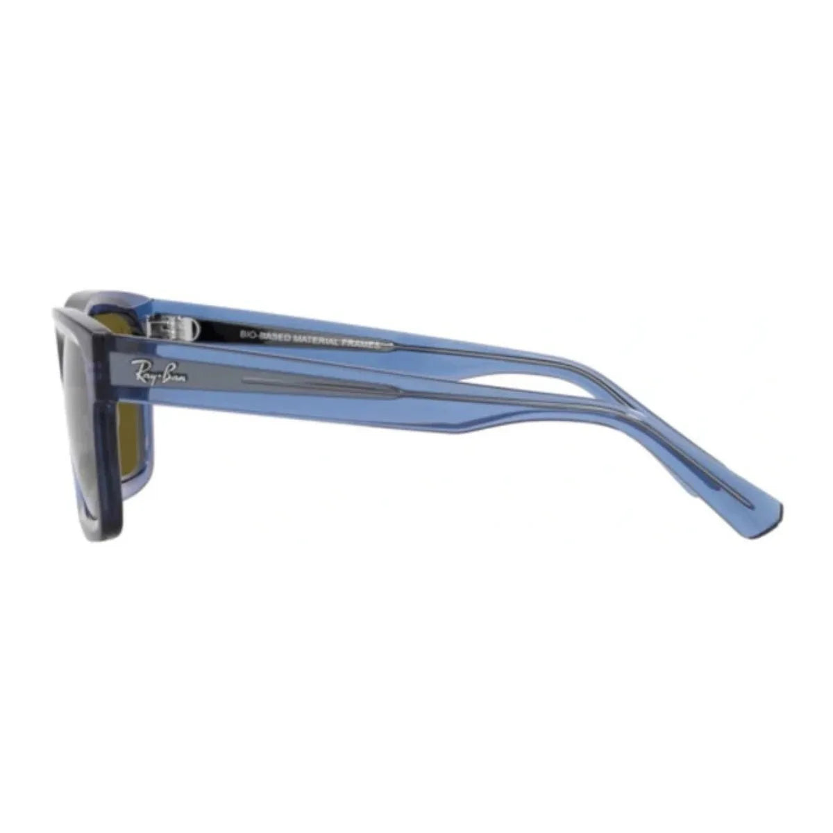 Rayban Warren 4396 Sunglass