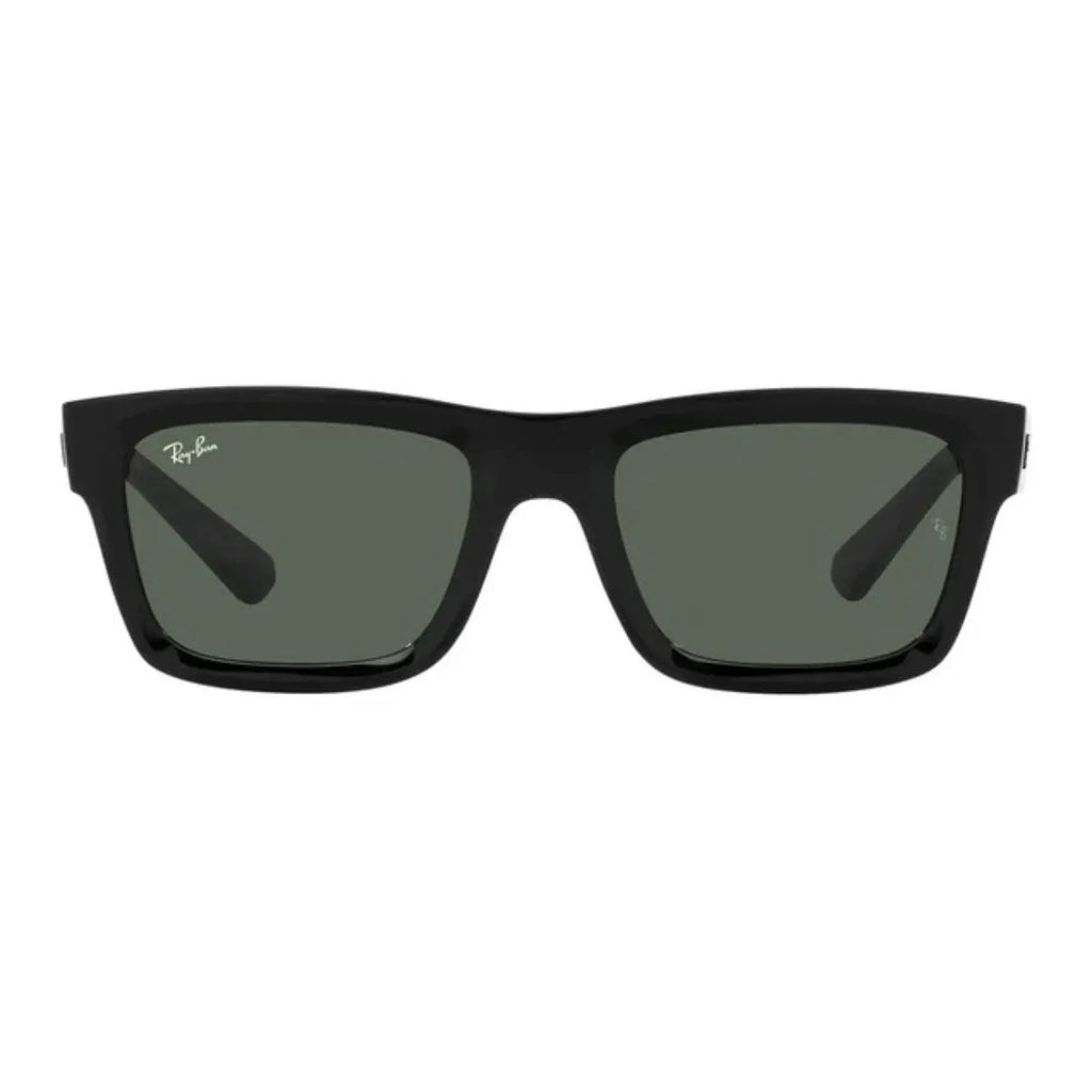 Rayban Warren 4396 Sunglass