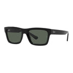Rayban Warren 4396 Sunglass