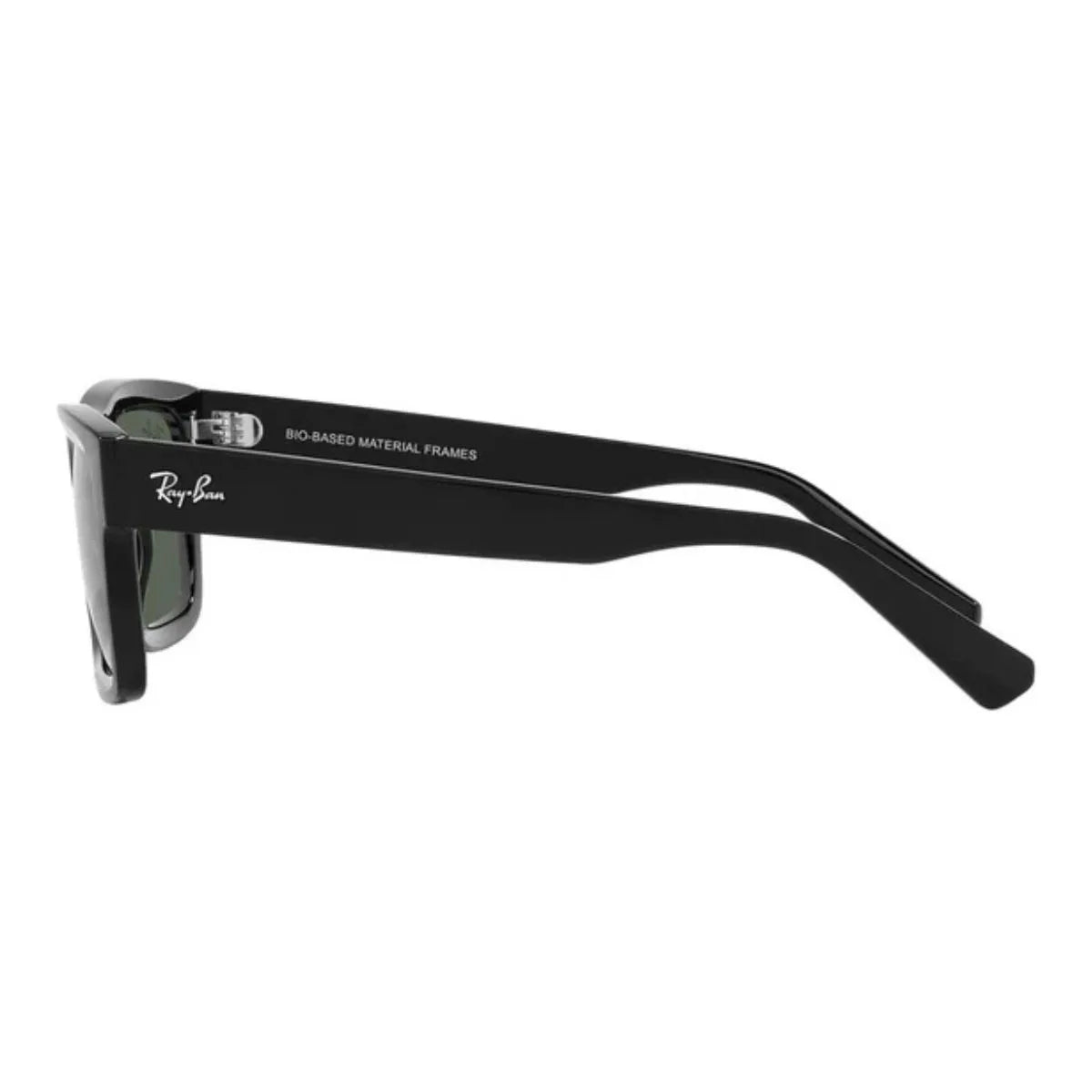 Rayban Warren 4396 Sunglass