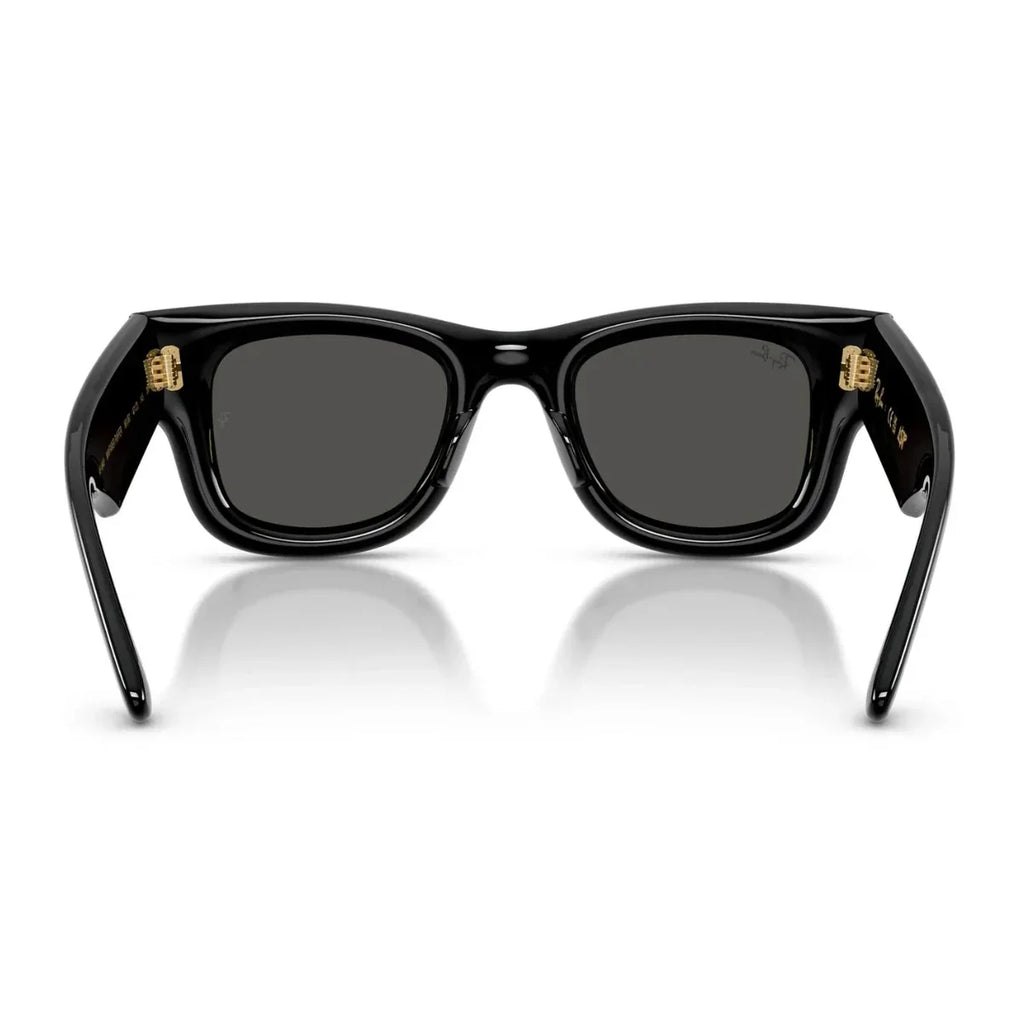 Rayban Wayfarer Puffer Sunglass RB 4940 601/87