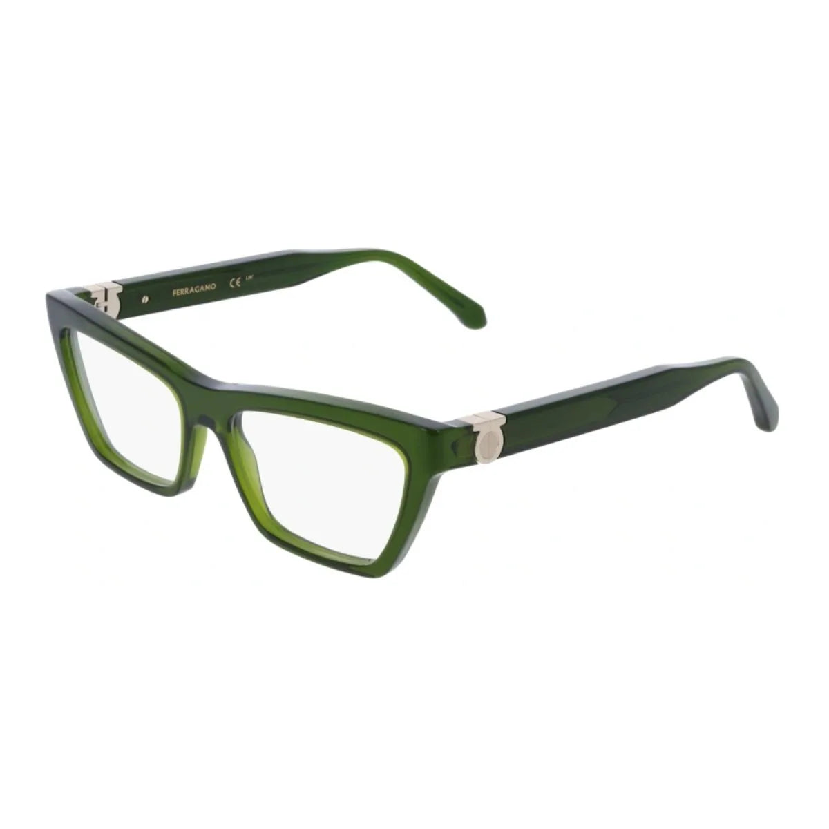 Salvatore Ferragamo Frame SF 3021 317