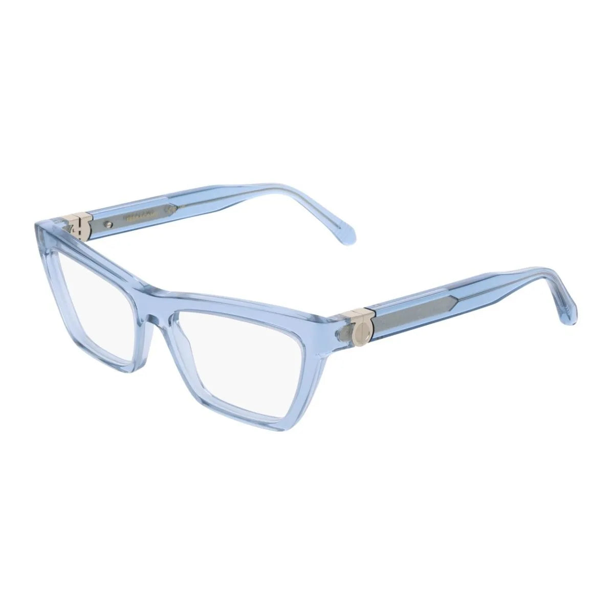 Salvatore Ferragamo Frame SF 3021 450