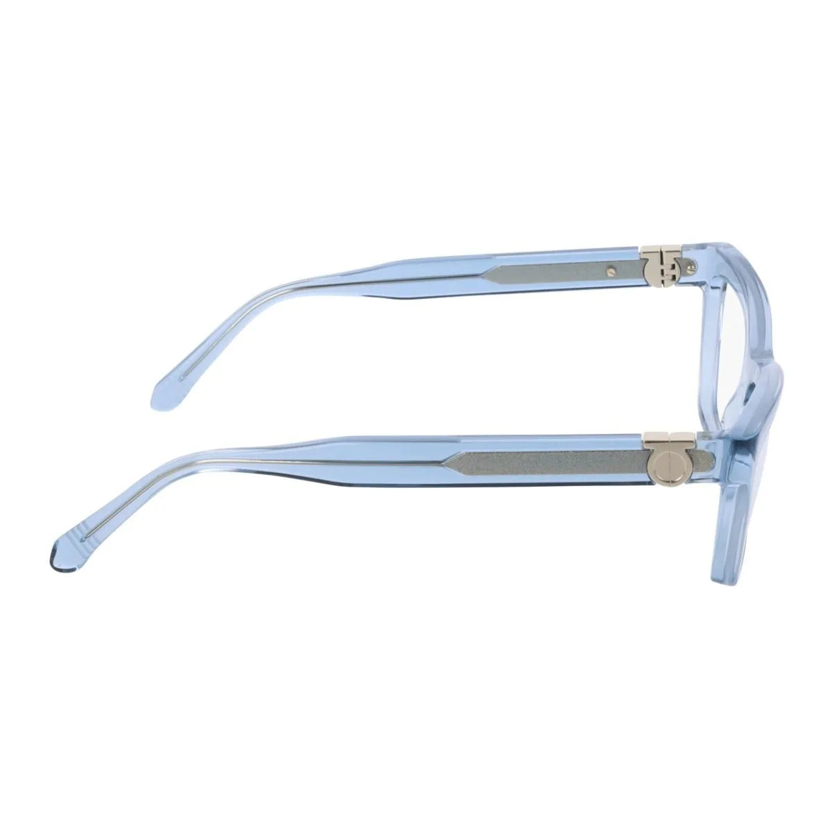 Salvatore Ferragamo Frame SF 3021 450