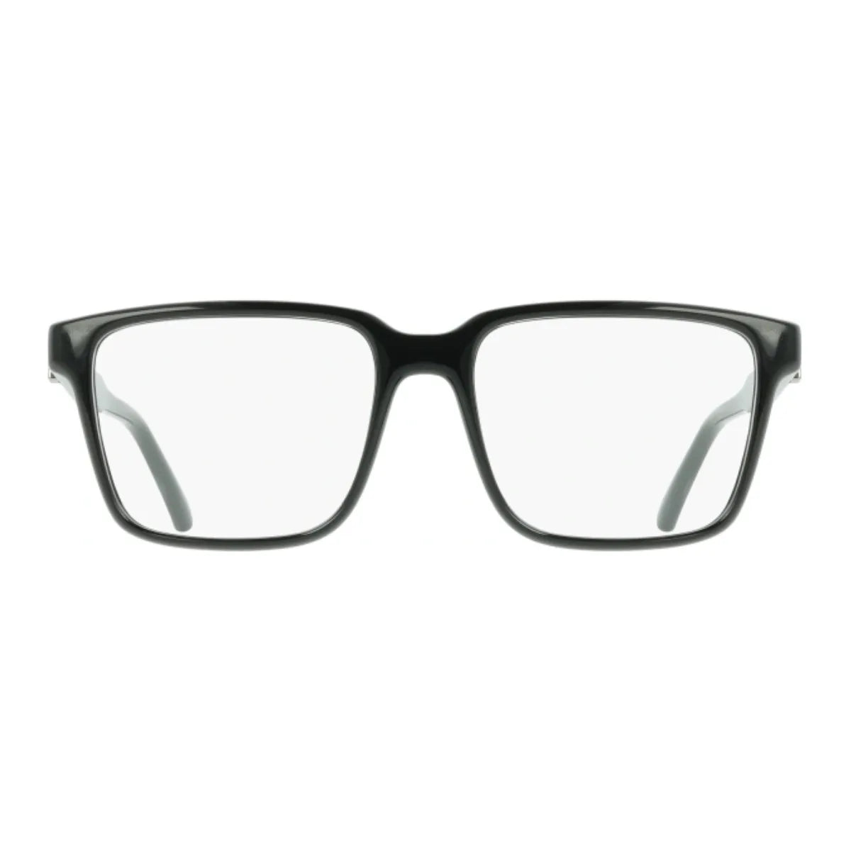 Salvatore Ferragamo Frame SF 3028E 001