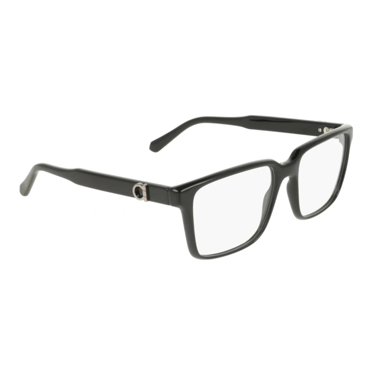 Salvatore Ferragamo Frame SF 3028E 001