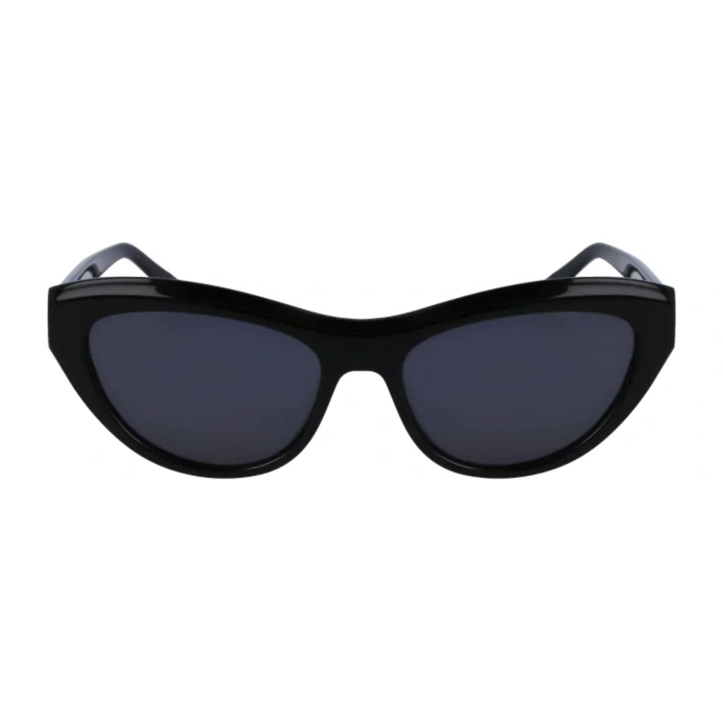 Salvatore Ferragamo Sunglass SF 1103S 001