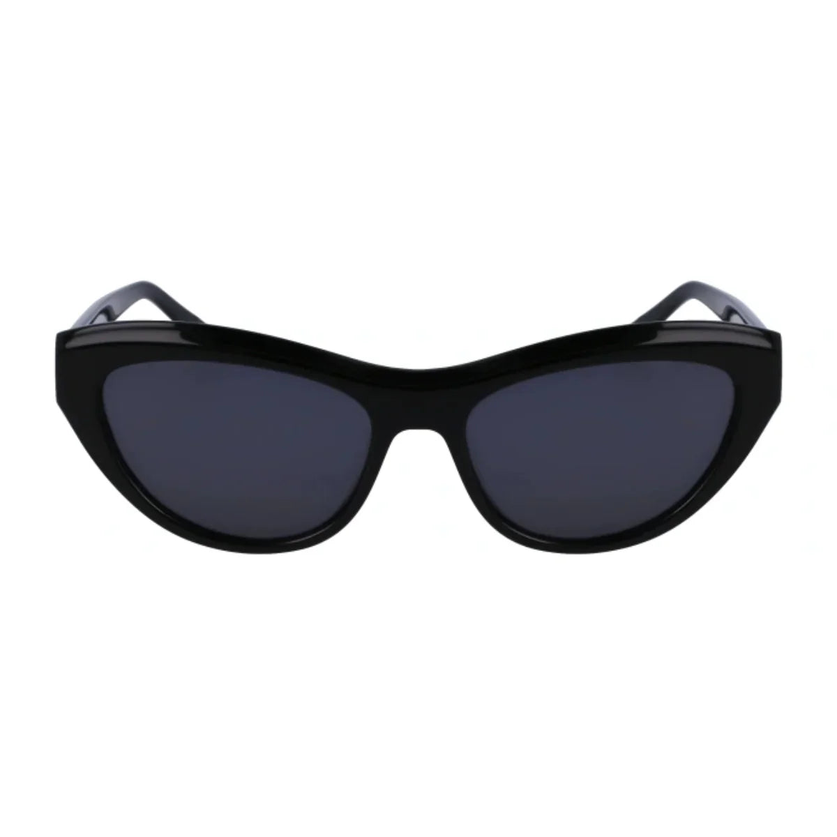 Salvatore Ferragamo Sunglass SF 1103S 001
