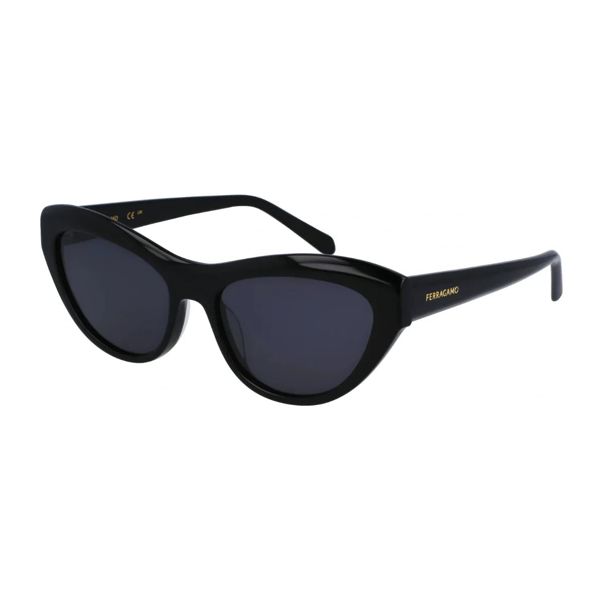 Salvatore Ferragamo Sunglass SF 1103S 001