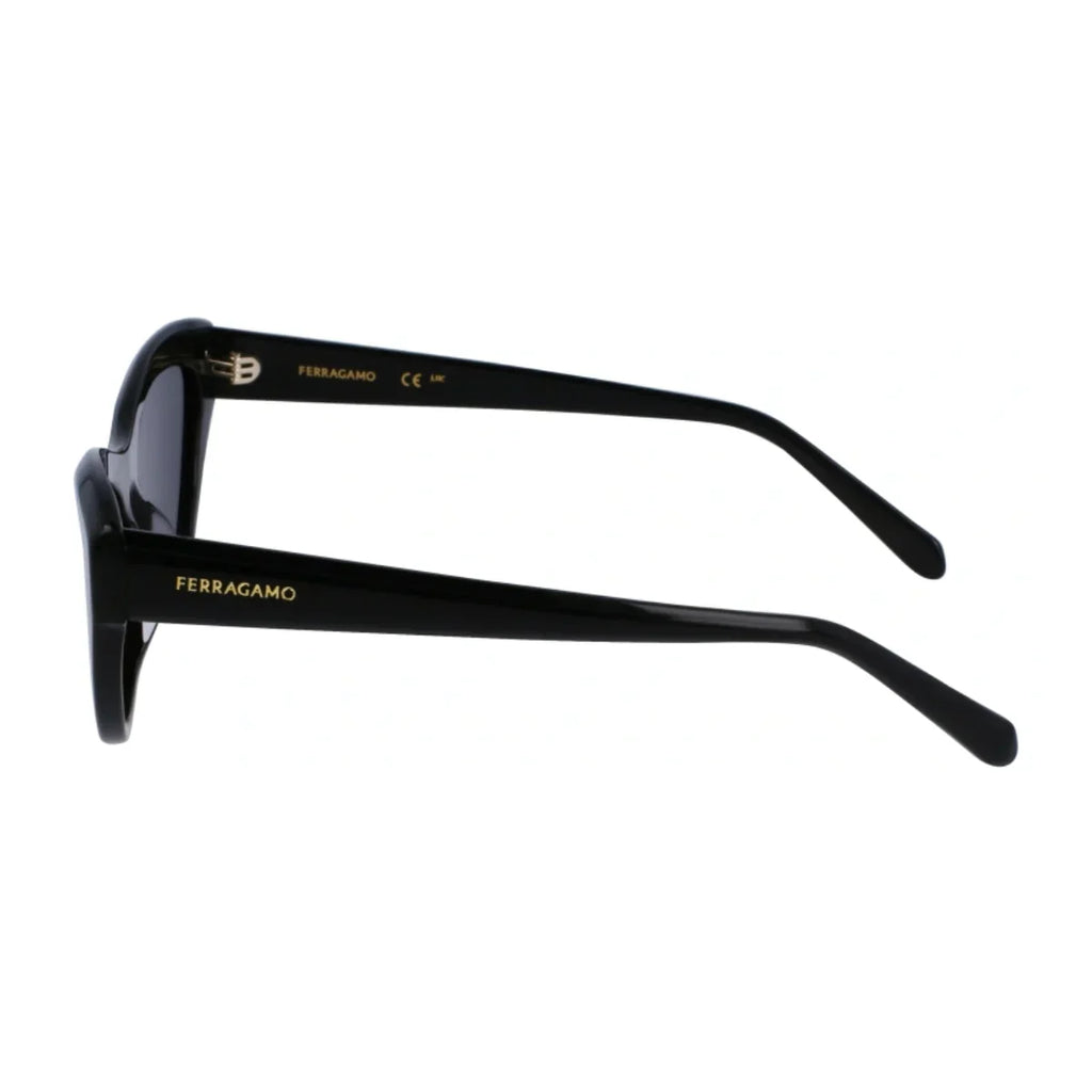 Salvatore Ferragamo Sunglass SF 1103S 001