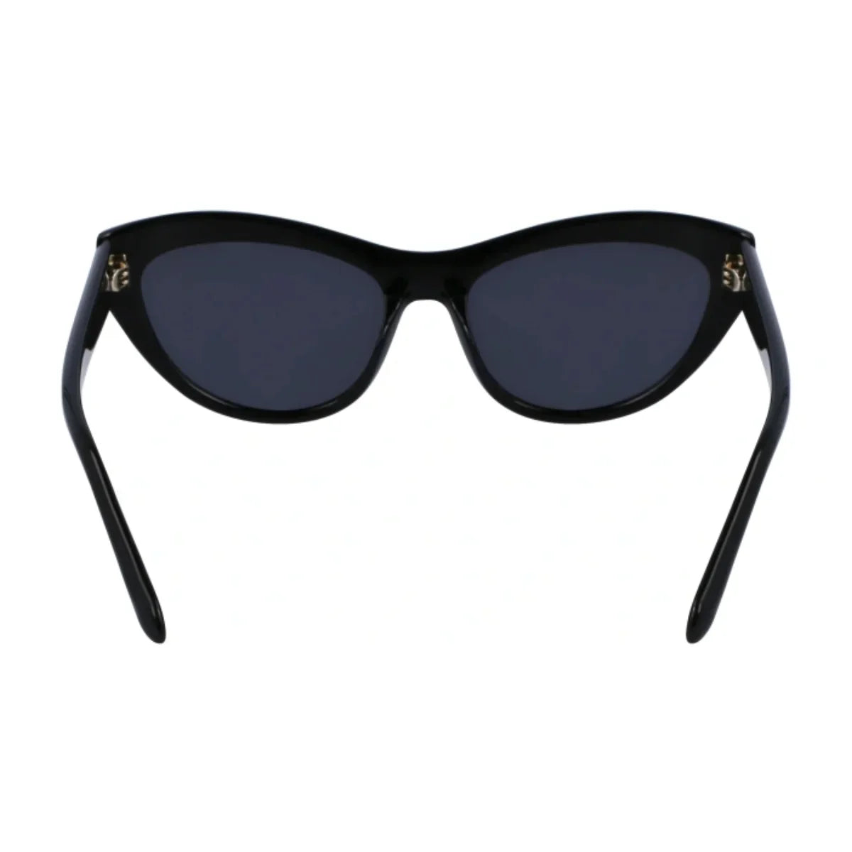 Salvatore Ferragamo Sunglass SF 1103S 001