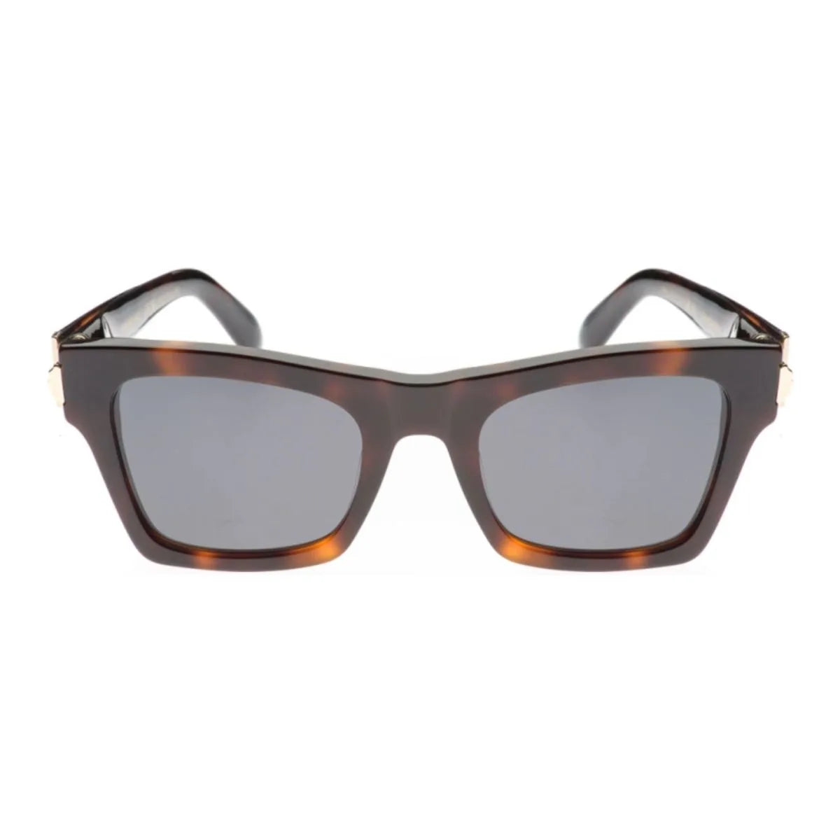 Salvatore Ferragamo Sunglass SF 2013S 240
