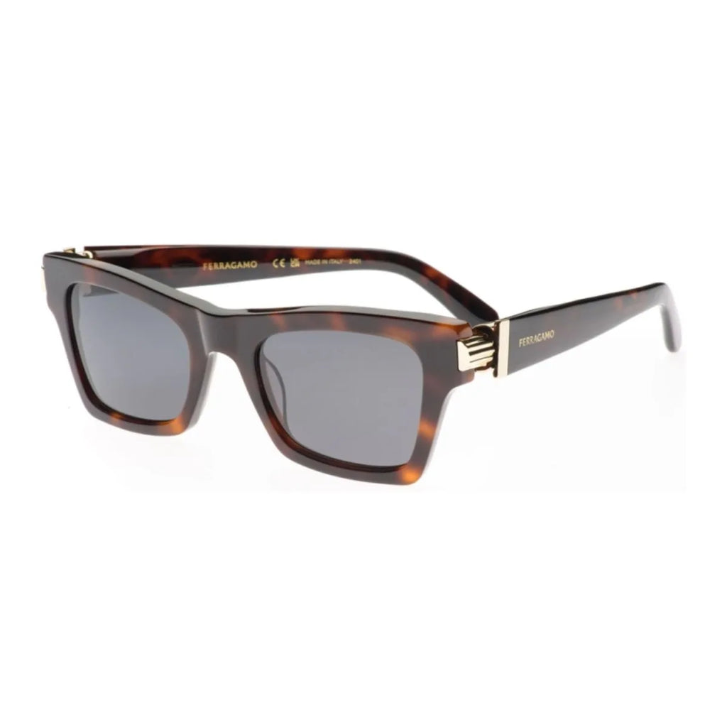 Salvatore Ferragamo Sunglass SF 2013S 240