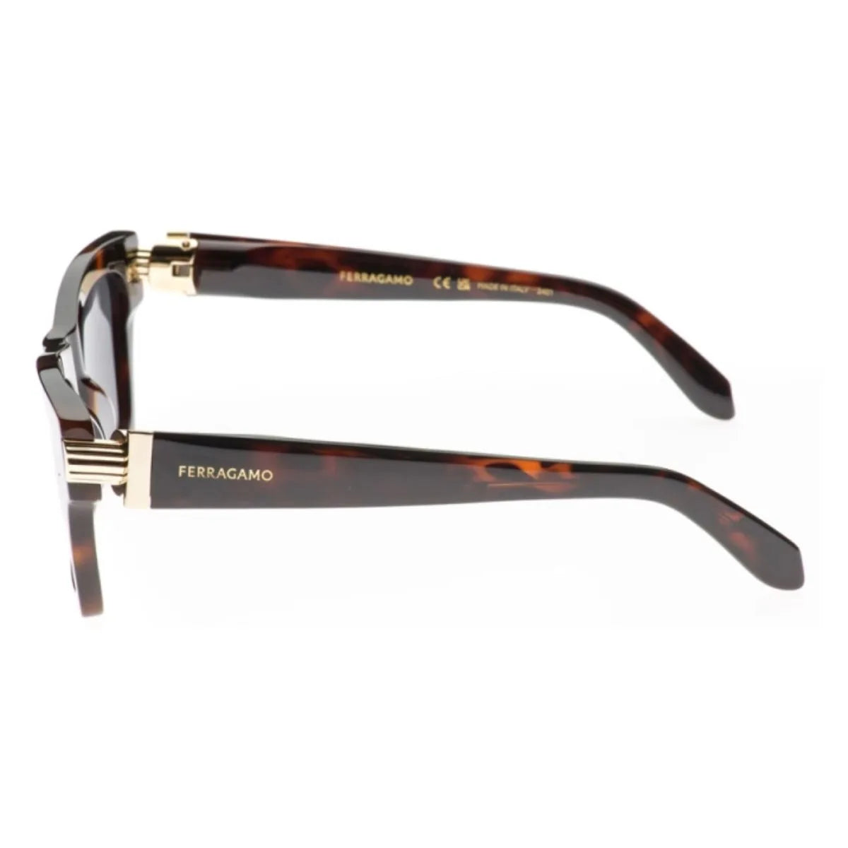 Salvatore Ferragamo Sunglass SF 2013S 240