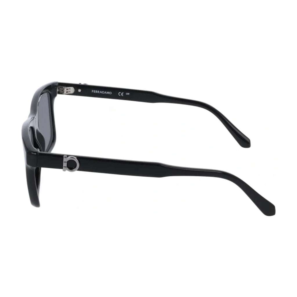 Salvatore Ferragamo Sunglass SF 2060SE 001