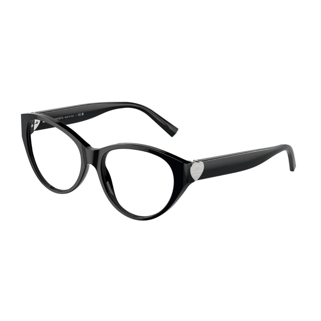 Tiffany & C0 2244 8001 Frame