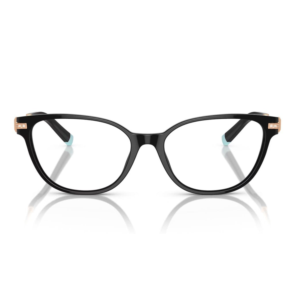 Tiffany & Co TF2223-B 8001 Frame