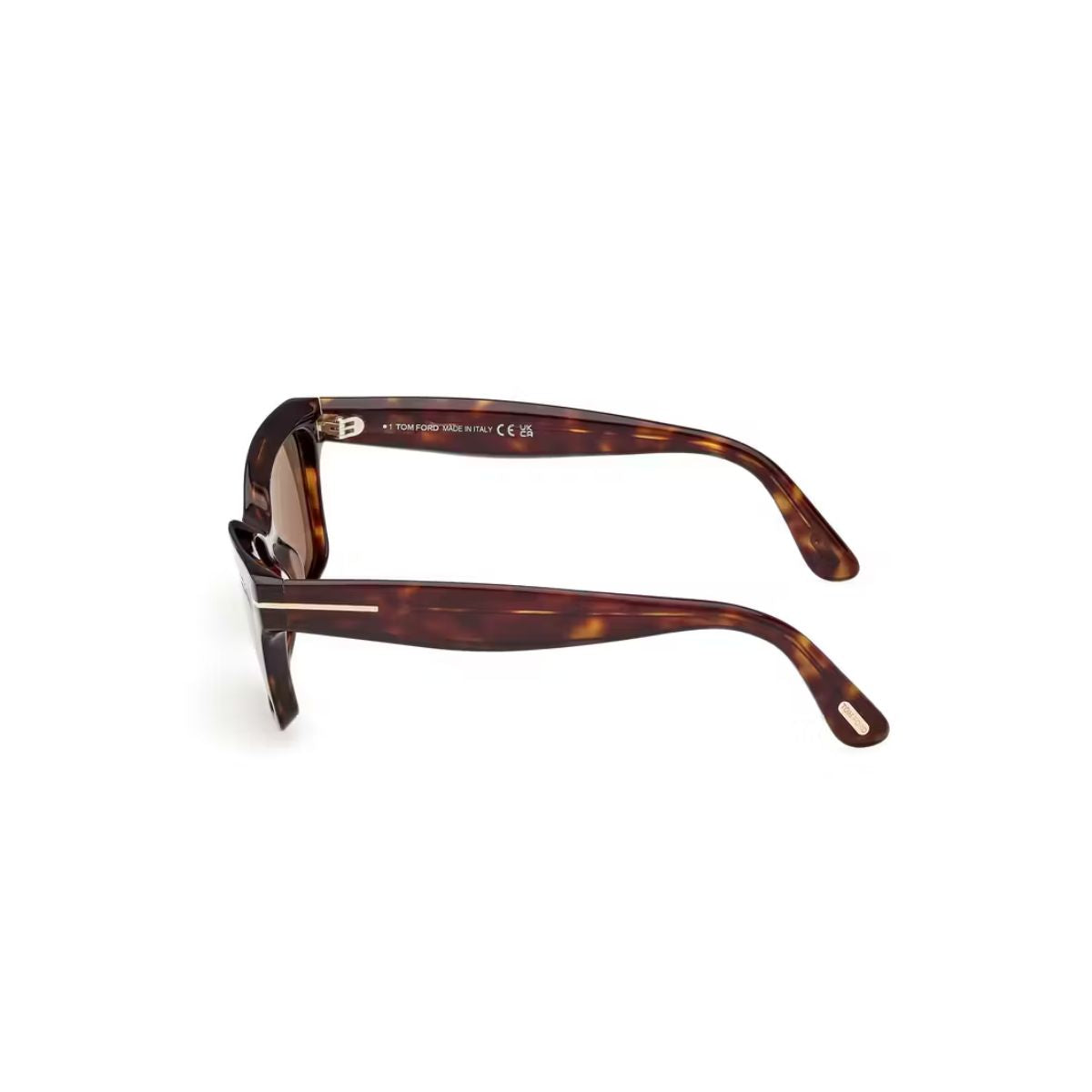 Tom Ford Mikel Sunglass TF1085 52H