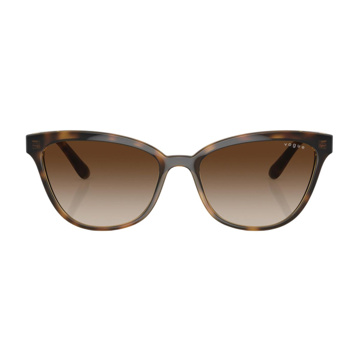 Vogue Sunglass 5496 W65613