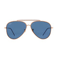 Rayban 0101 9202/3a Sunglass