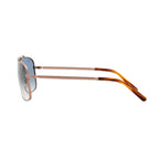 Rayban 3796 9202/3F Sunglass