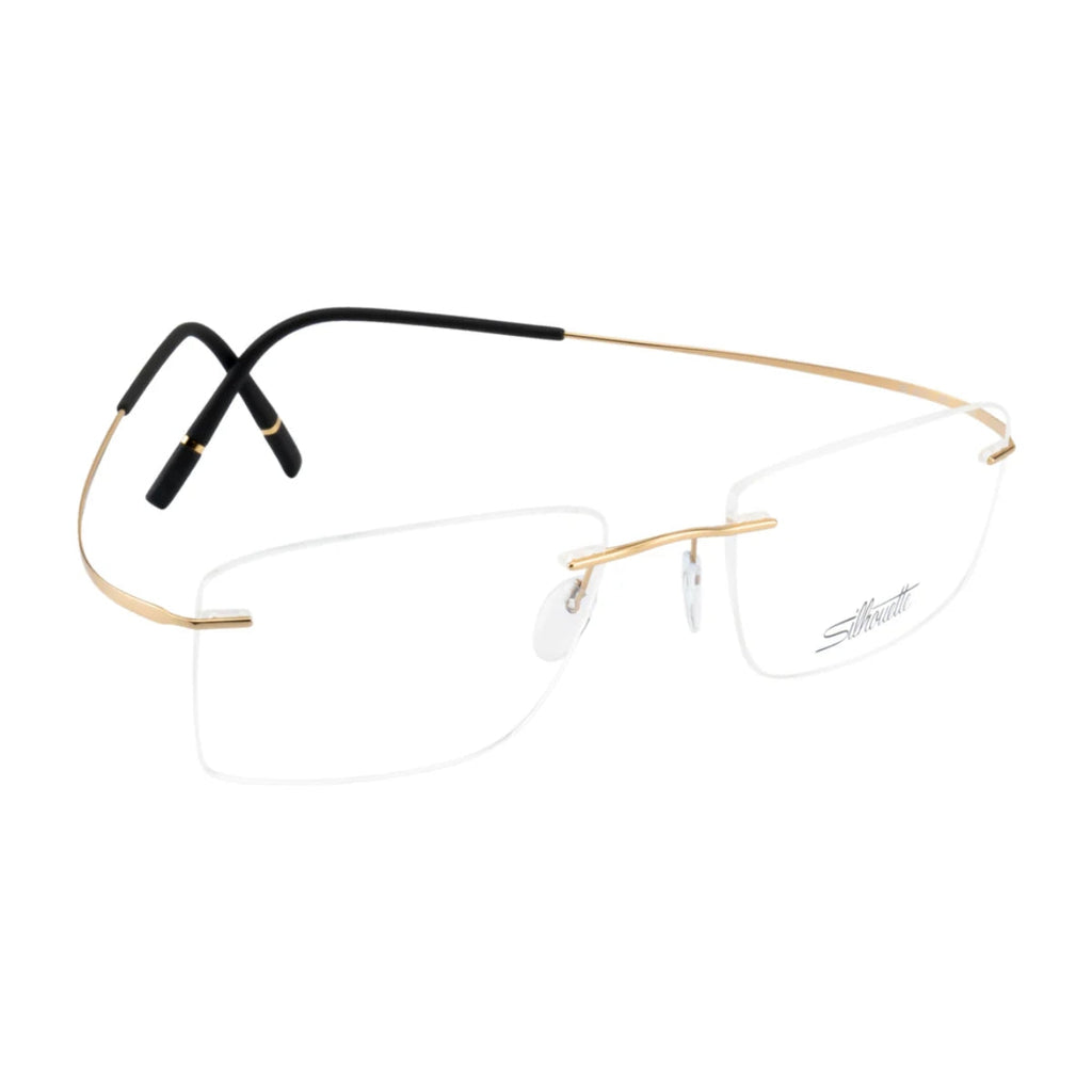 Silhouette Frame 5599 7530