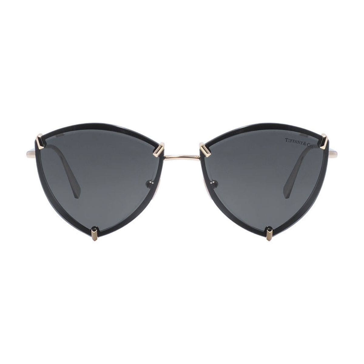 Tiffany & Co 3090 6002/S4 Sunglass