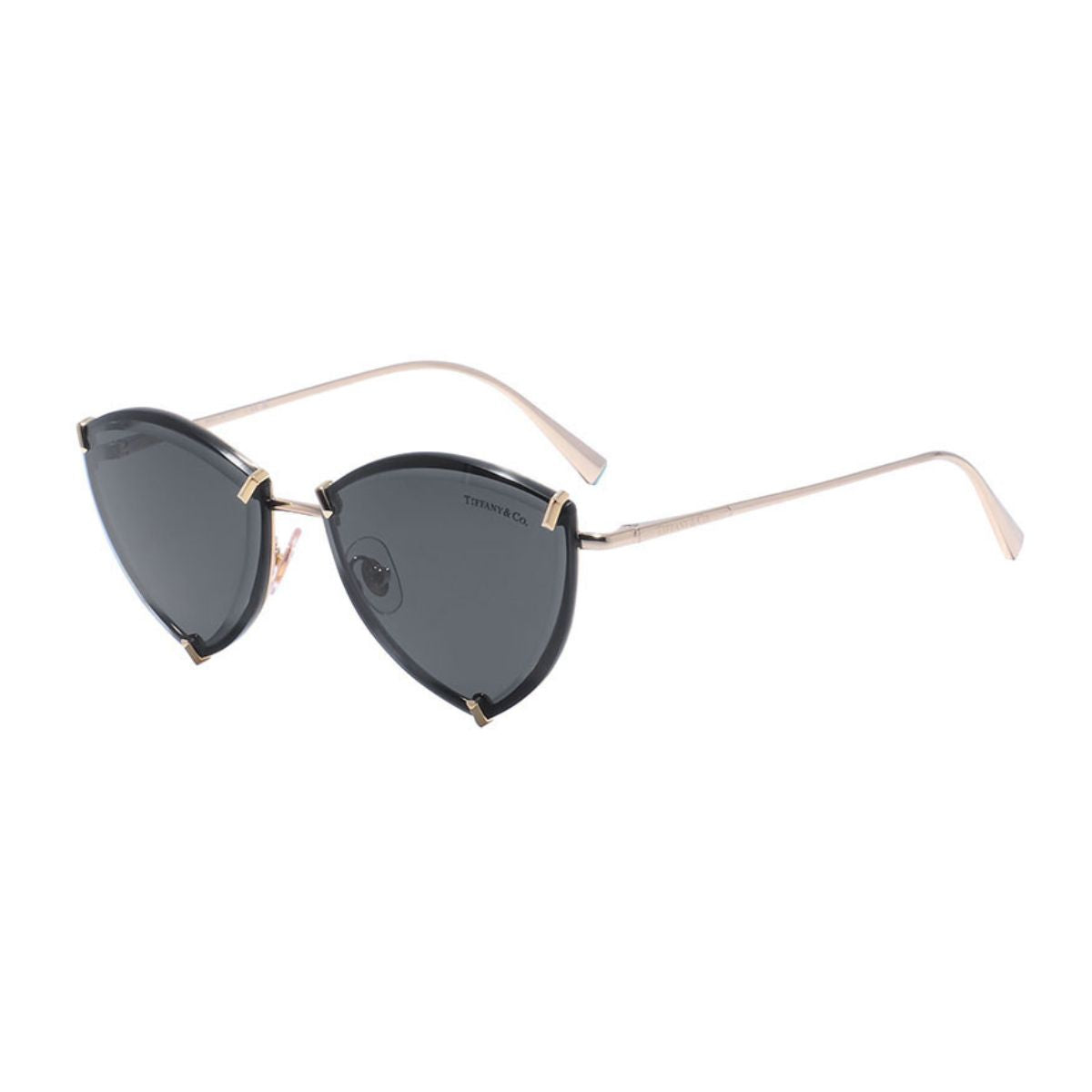 Tiffany & Co 3090 6002/S4 Sunglass