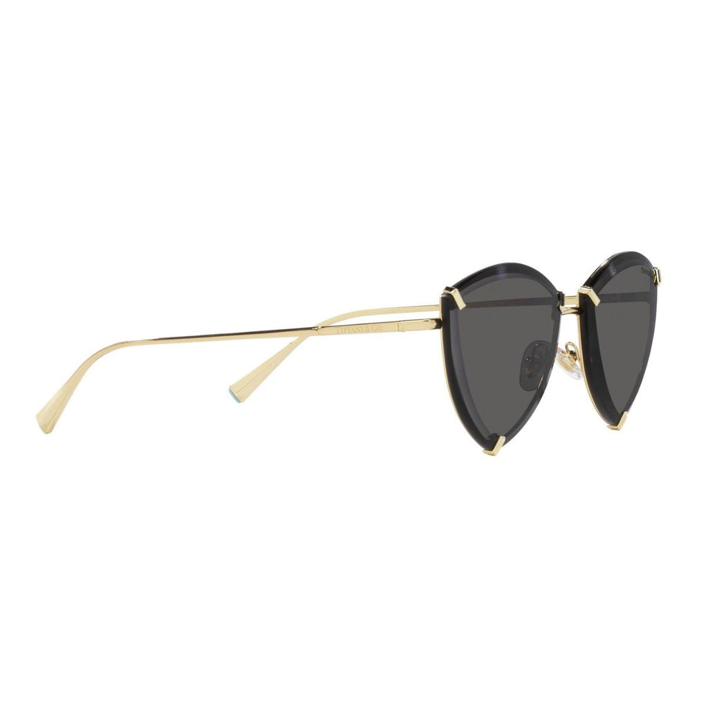 Tiffany & Co 3090 6002/S4 Sunglass