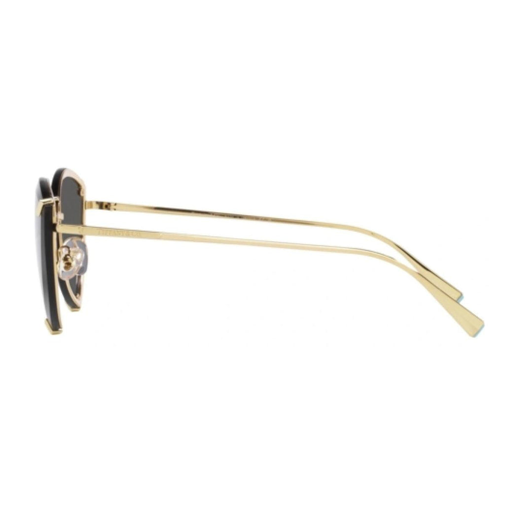 Tiffany & Co 3090 6002/S4 Sunglass