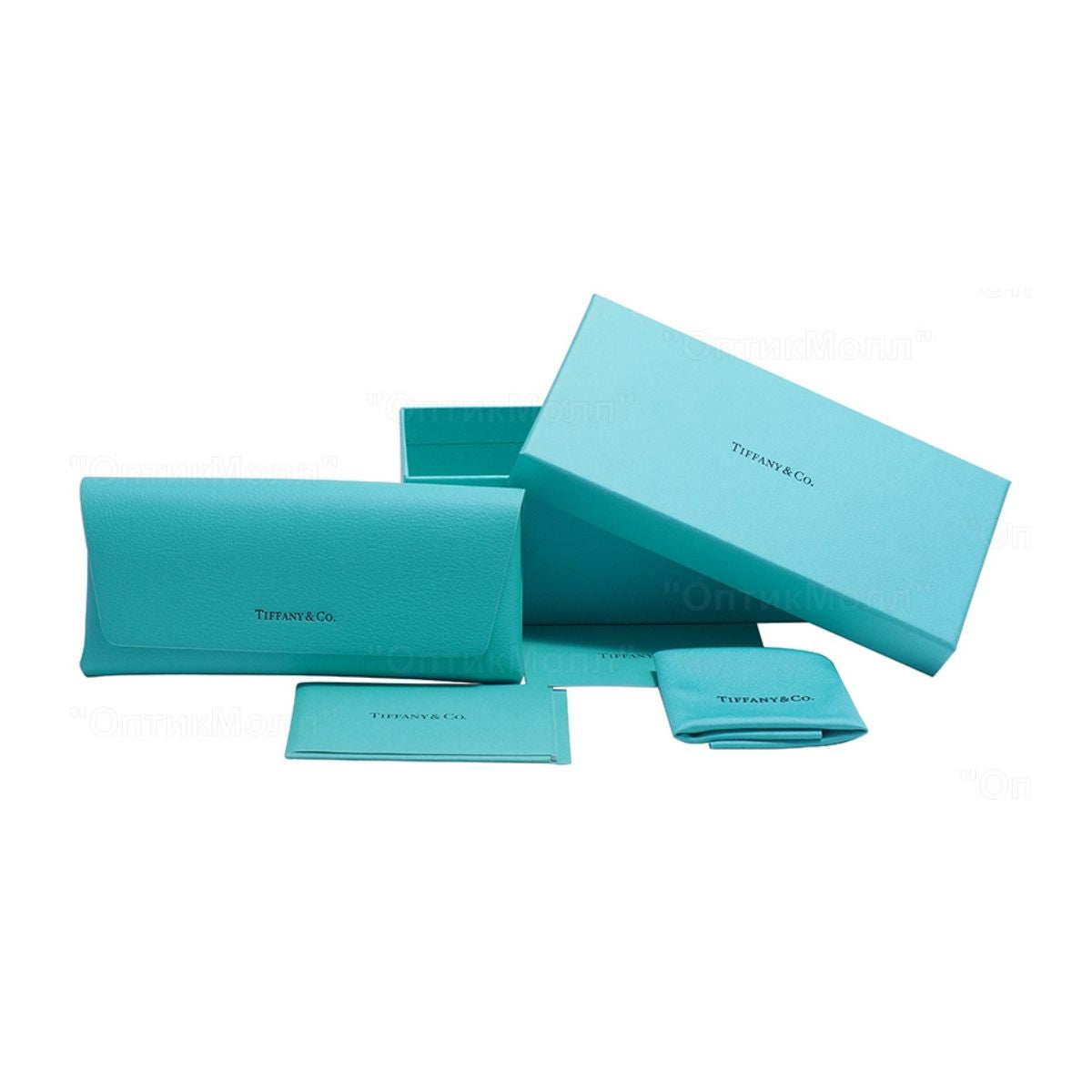 Tiffany & Co 3090 6002/S4 Sunglass