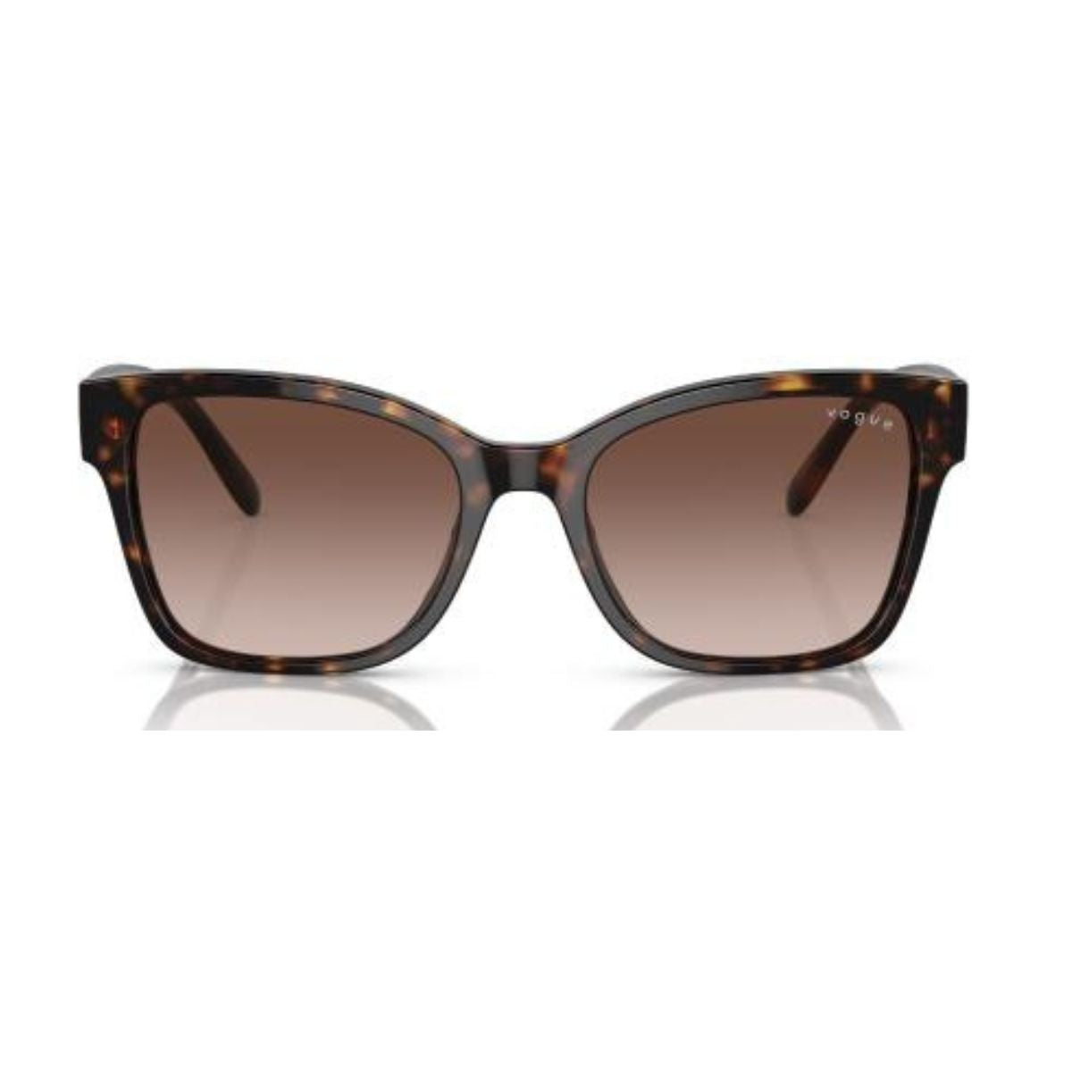Vogue Sunglass 5534 W65613